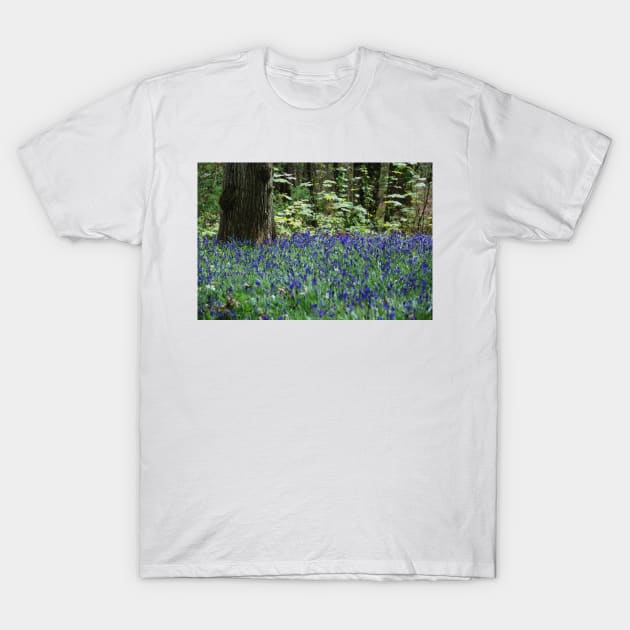 Bluebell Sea T-Shirt by RichardGibb